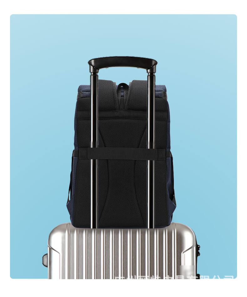 Insulated Backpack