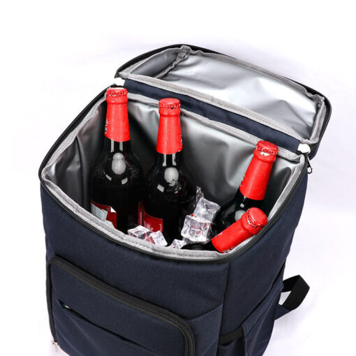 Insulated Backpack