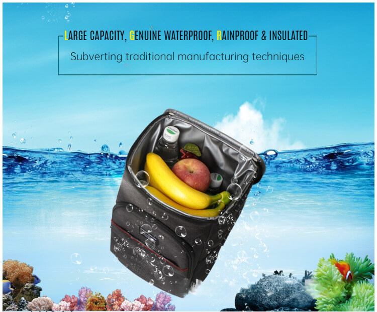 Large-capacity picnic bag